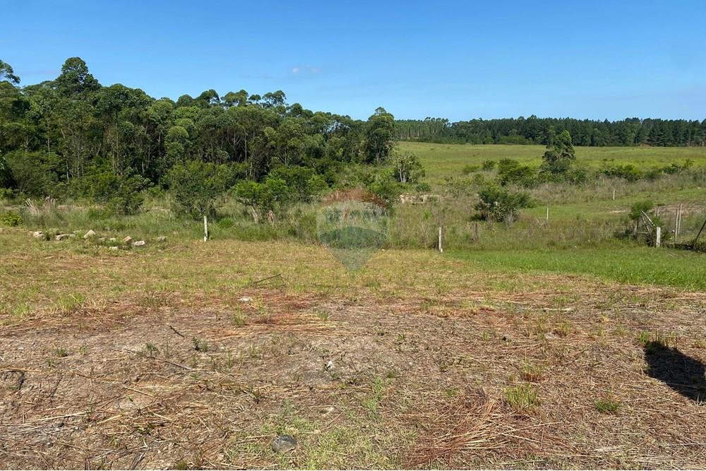 Terreno - Venda - Criciúma , Santa Catarina - IMG-20250202-WA0019.jpg - 590311017-48