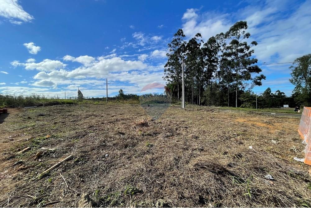 Terreno - Venda - Criciúma , Santa Catarina - IMG_6509.JPG - 590311026-27