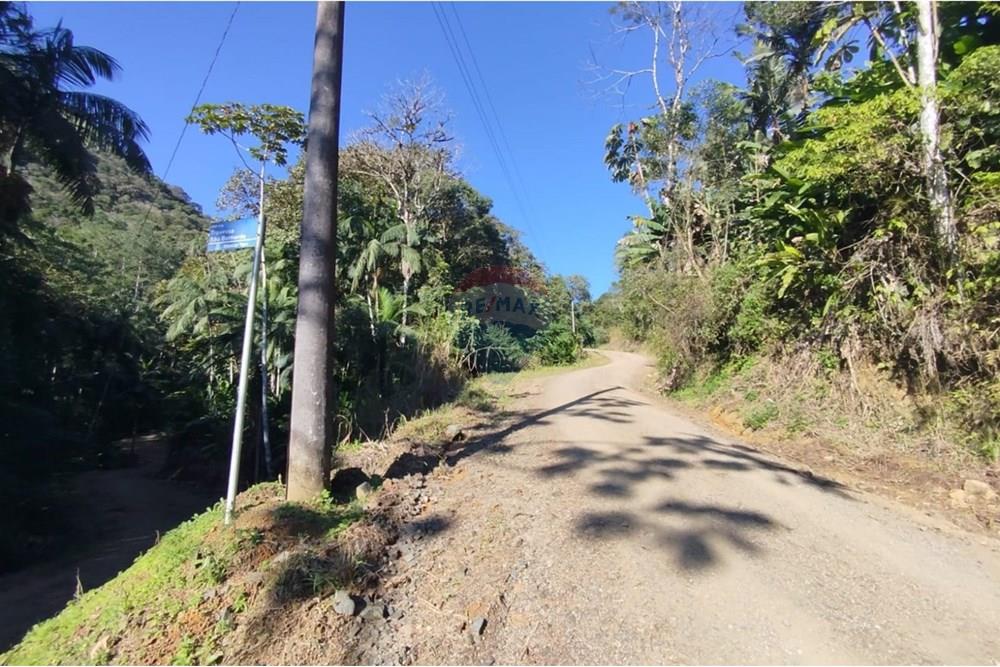 Terreno - Venda - Benedito Novo , Santa Catarina - WhatsApp Image 2025-09-09 at 17.07.57.jpeg - 590301027-106