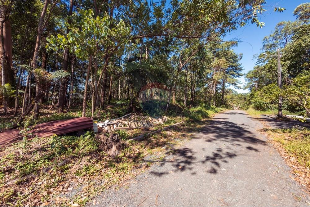 Terreno - Venda - Criciúma , Santa Catarina - IMG_6934 (1).jpeg - 590311026-43