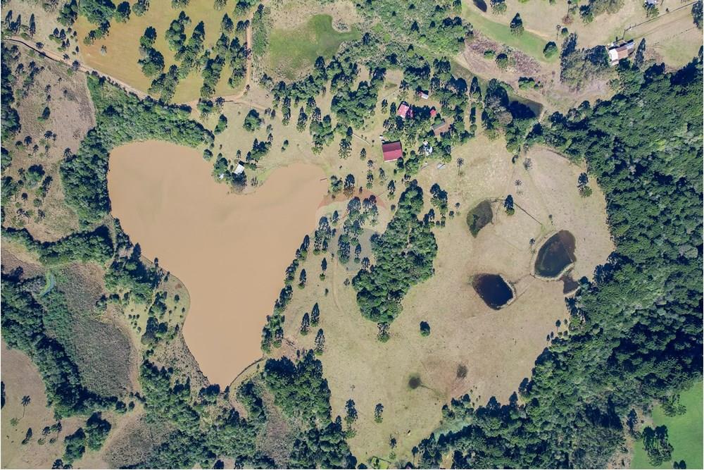 Chácara / Sítio / Fazenda - Venda - Capão Alto , Santa Catarina - DJI_0026.jpg - 590071002-440