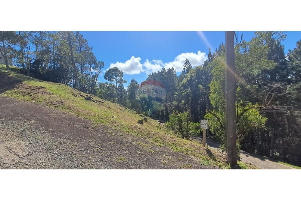 Terreno - Venda - Rancho Queimado , Santa Catarina - WhatsApp Image 2026-01-21 at 18.15.13.jpeg - 590471023-34