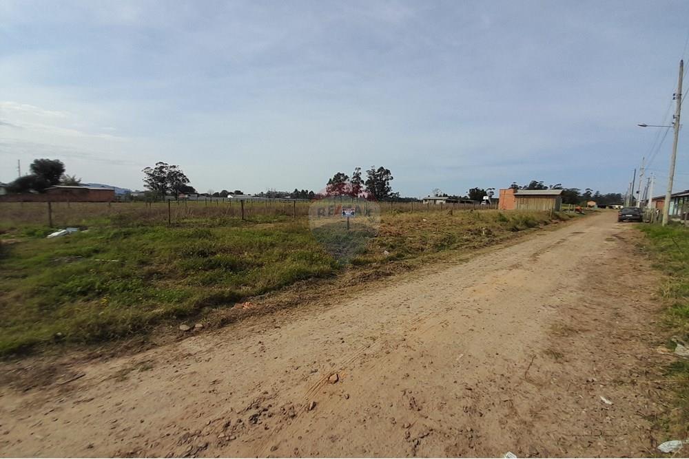 Terreno - Venda - Santa Rosa do Sul , Santa Catarina - 20250726_125908.jpg - 590491005-20