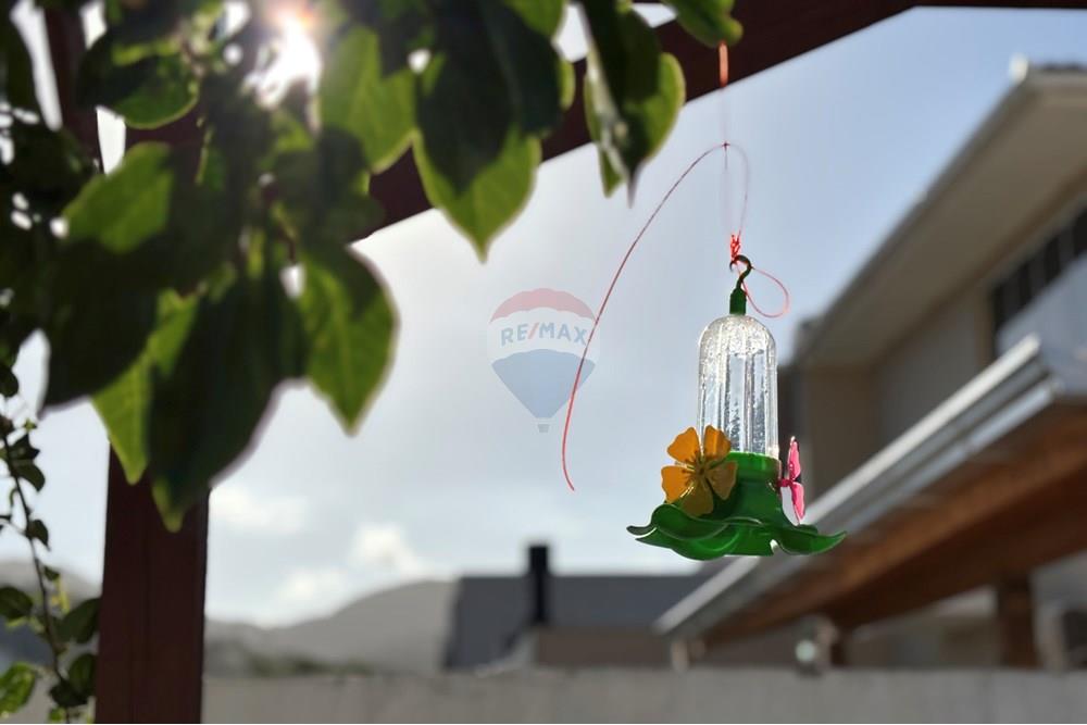 Casa - Alugar - Florianópolis , Santa Catarina - IMG_8217.JPG - 590511001-51