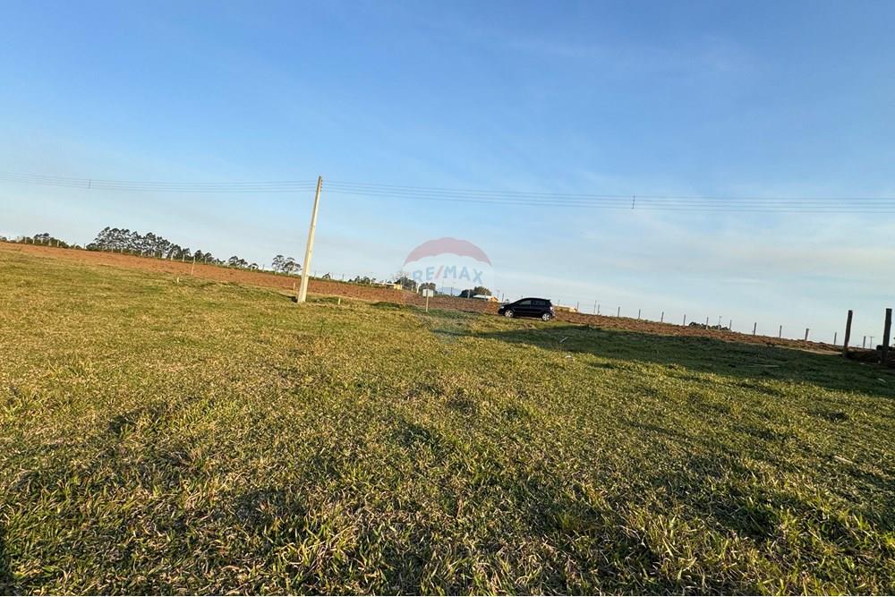 Terreno - Venda - São João do Sul , Santa Catarina - IMG_7400.jpg - 590491012-3