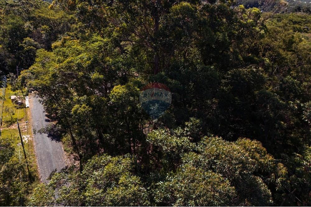 Terreno - Venda - Criciúma , Santa Catarina - DJI_20251211150533_0110_D.jpg - 590311026-44