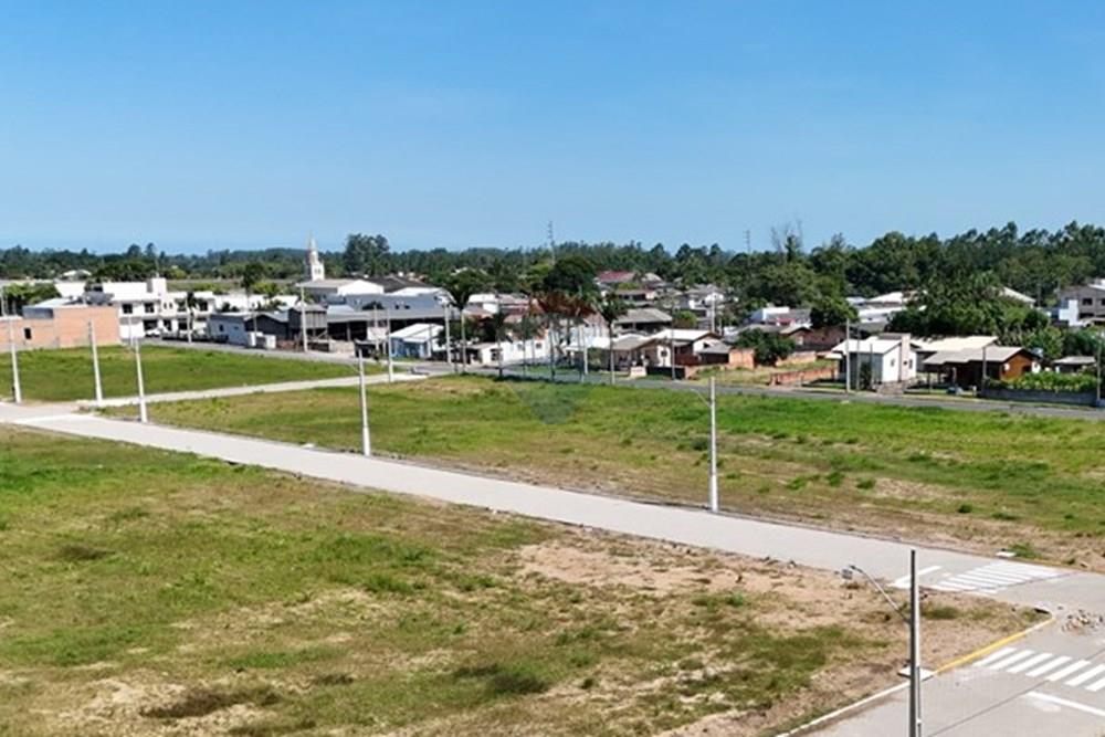 Terreno - Venda - Santa Rosa do Sul , Santa Catarina - DJI_20260304143955_0635_D.jpeg - 590491012-28