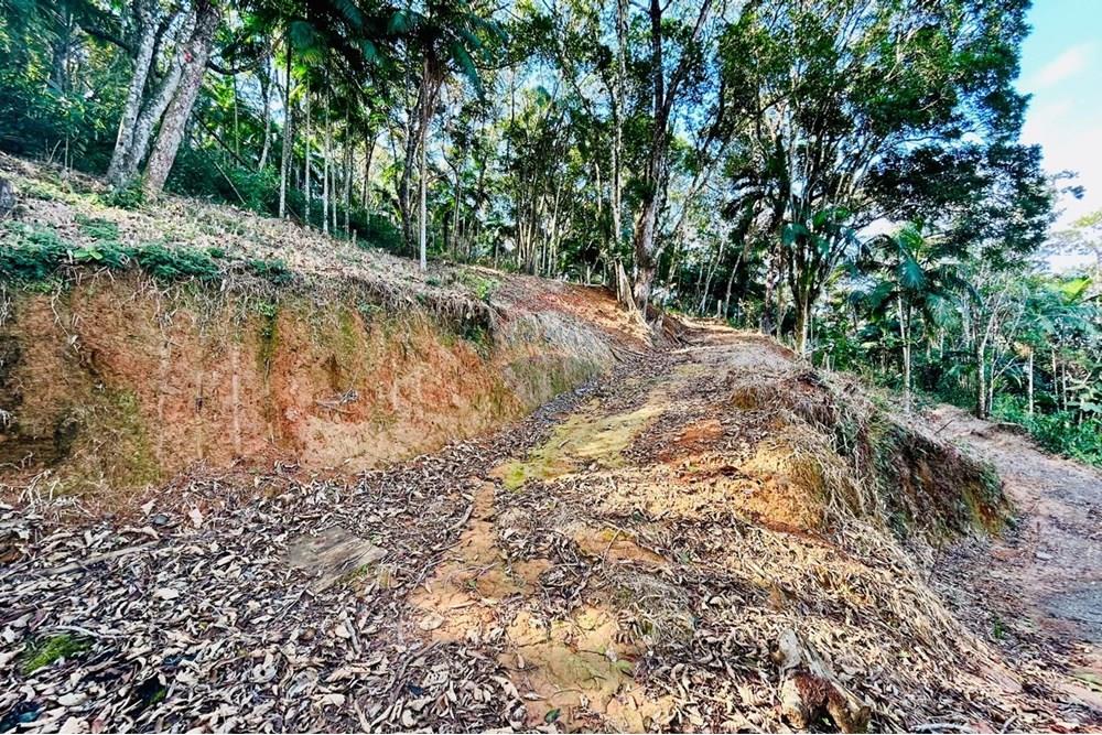 Chácara / Sítio / Fazenda - Venda - Itapema , Santa Catarina - WhatsApp Image 2025-07-14 at 16.25.26.jpeg - 590401053-3