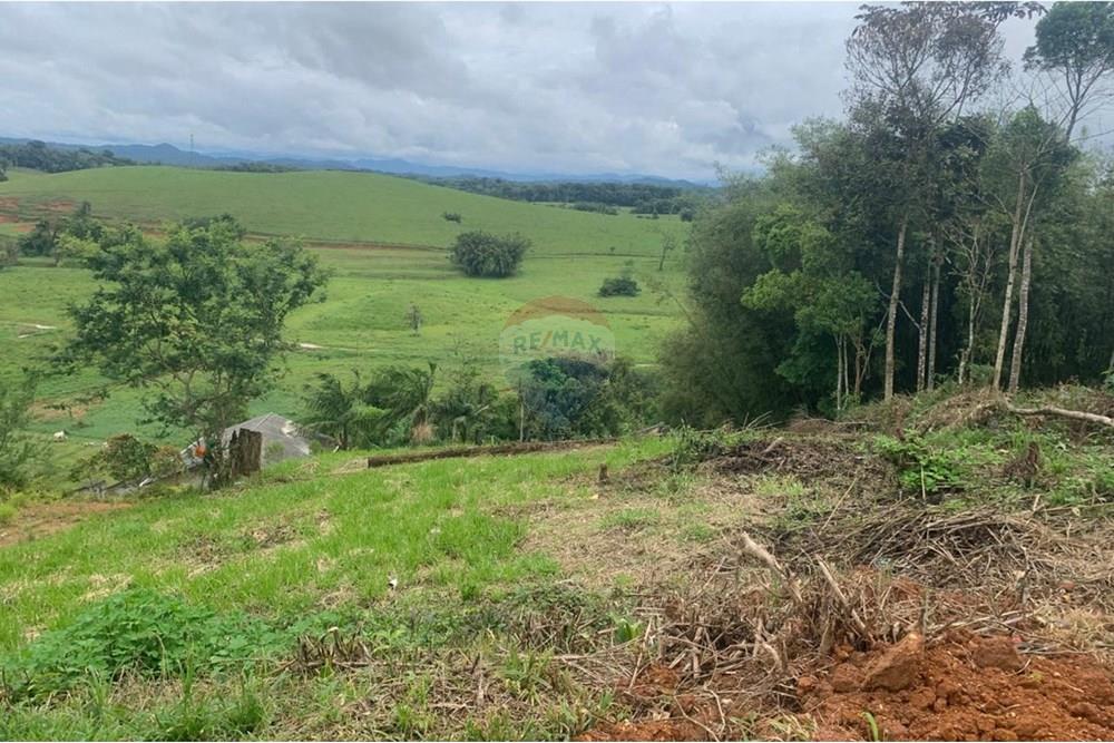 Terreno - Venda - Itajaí , Santa Catarina - WhatsApp Image 2025-11-02 at 11.42.57 AM (1).jpeg - 590531040-1