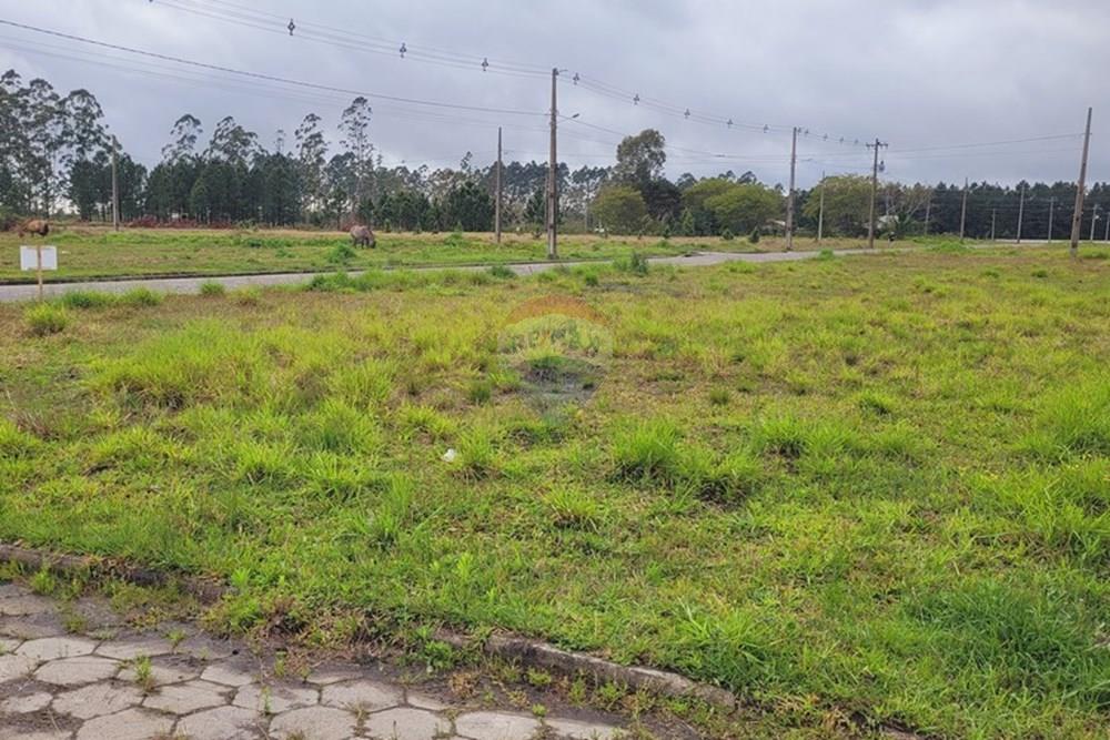 Terreno - Venda - Sombrio , Santa Catarina - 20251001_090245.jpg - 590491009-2