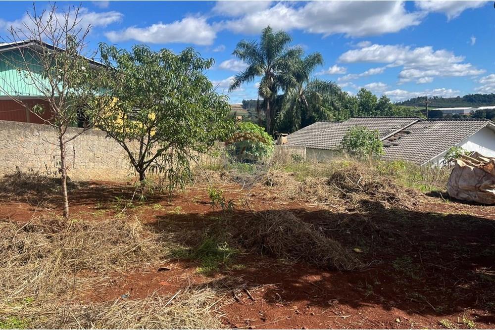 Casa à venda com 2 quartos, 49m² - Foto 4