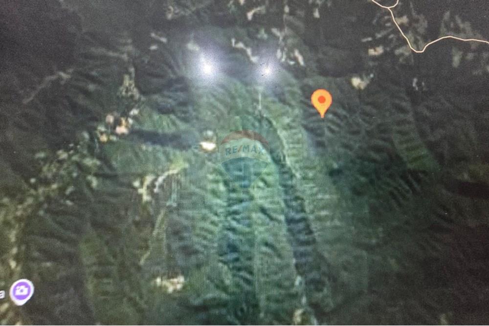 Chácara / Sítio / Fazenda - Venda - Itaiópolis , Santa Catarina - WhatsApp Image 2025-12-10 at 13.49.39 (2).jpeg - 590211033-83