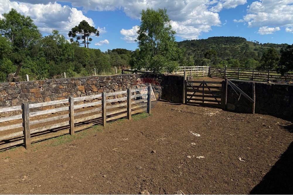 Chácara / Sítio / Fazenda - Venda - Painel , Santa Catarina - IMG_8269.JPG - 590071044-22