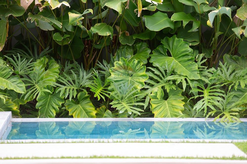 Casa de Condomínio - Venda - Florianópolis , Santa Catarina - CASA RL (41).jpg - 590511013-8