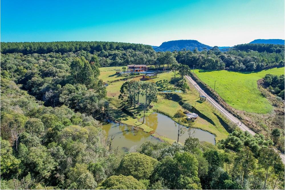 Chácara / Sítio / Fazenda - Venda - Ponte Alta , Santa Catarina - DJI_0179.jpg - 590071002-444