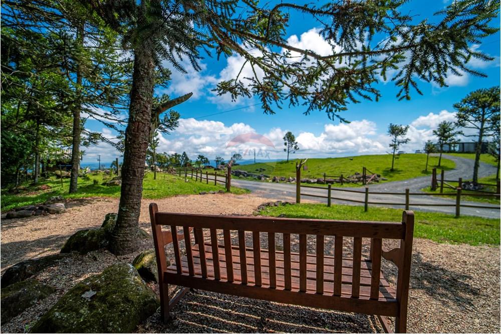 Chácara / Sítio / Fazenda - Venda - Alfredo Wagner , Santa Catarina - DSC04766.jpg - 590071002-445