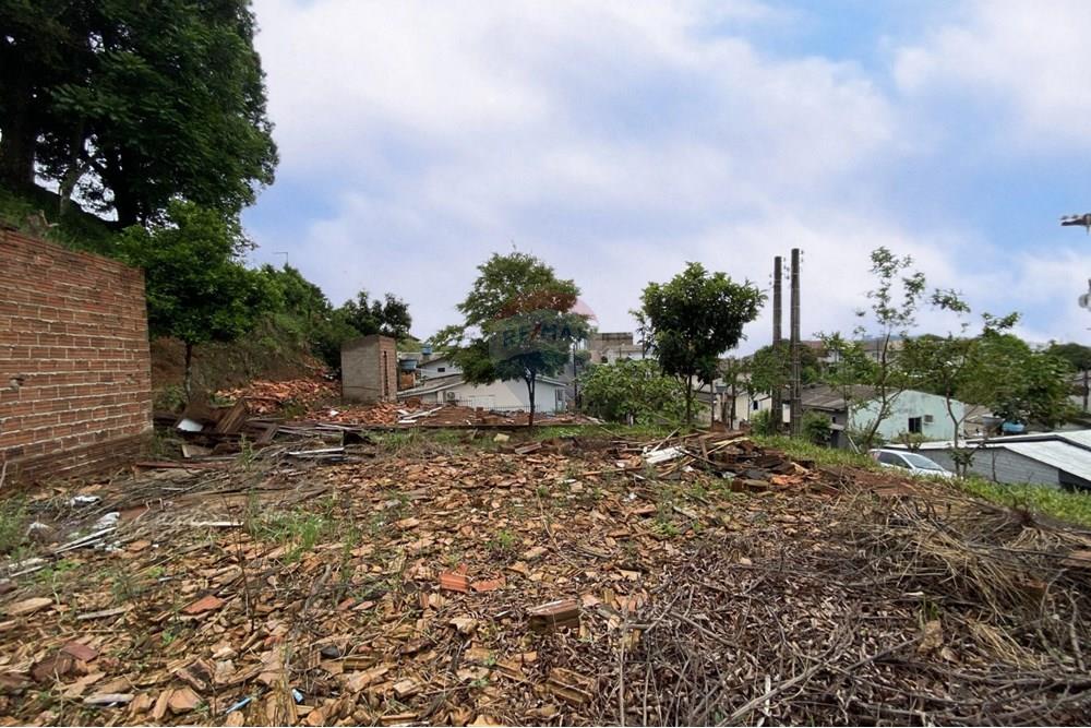 Residential - ਧਰਤੀ - Xaxim , Santa Catarina - BR - snapedit_1759325733367.jpg - 590421016-25