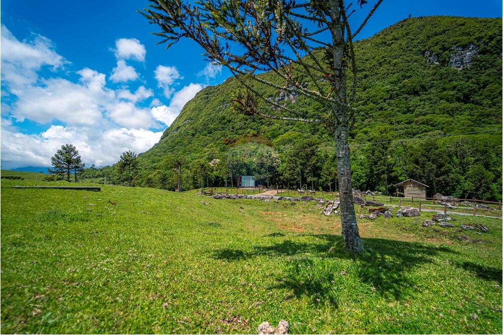 Chácara / Sítio / Fazenda - Venda - Alfredo Wagner , Santa Catarina - DSC04753.jpg - 590071002-445