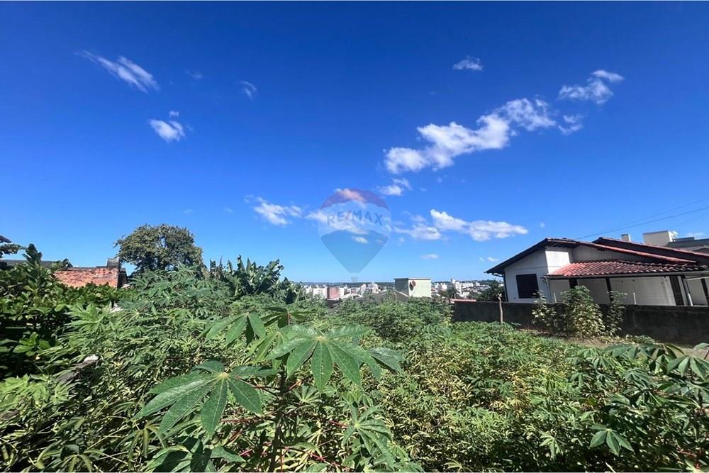 Terreno - Venda - Criciúma , Santa Catarina - WhatsApp Image 2026-04-09 at 14.23.29.jpeg - 590311040-4