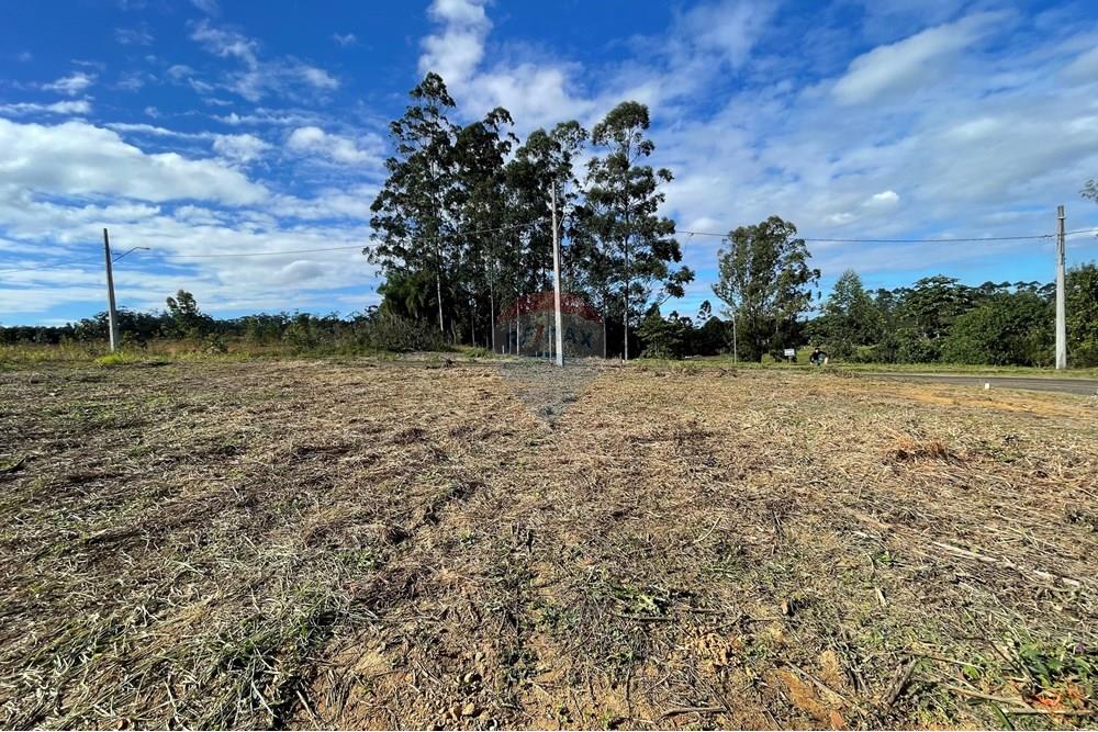 Terreno - Venda - Criciúma , Santa Catarina - IMG_6514.JPG - 590311026-27