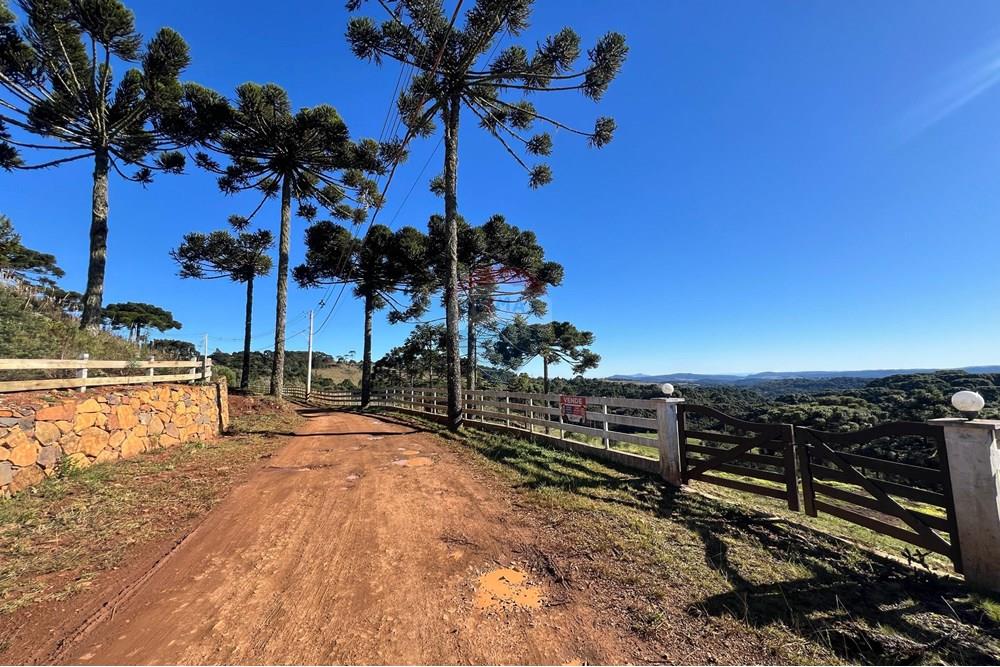 Terreno - Venda - Painel , Santa Catarina - WhatsApp Image 2025-06-11 at 15.16.36 (1).jpeg - 590071003-195