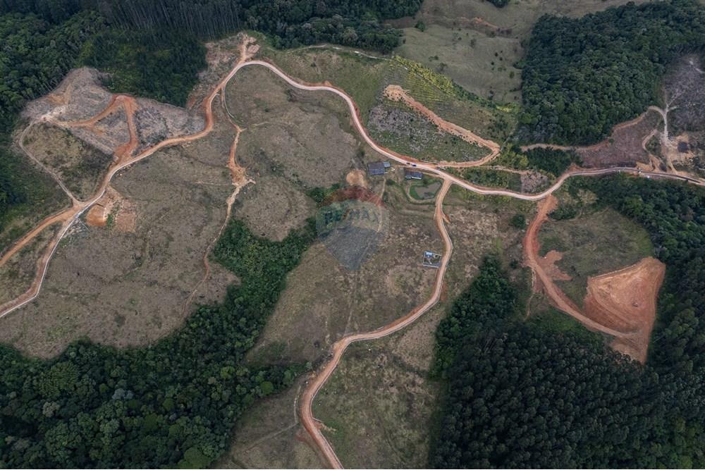 Chácara / Sítio / Fazenda - Venda - São Martinho , Santa Catarina - DJI_20250711081349_0702_D_DJI4.jpg - 590461004-22