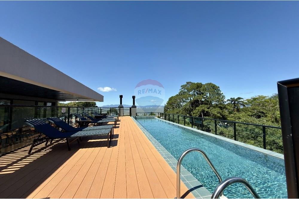 Studio - Alugar - Florianópolis , Santa Catarina - PHOTO-2025-12-17-17-24-41.jpg - 590441045-85