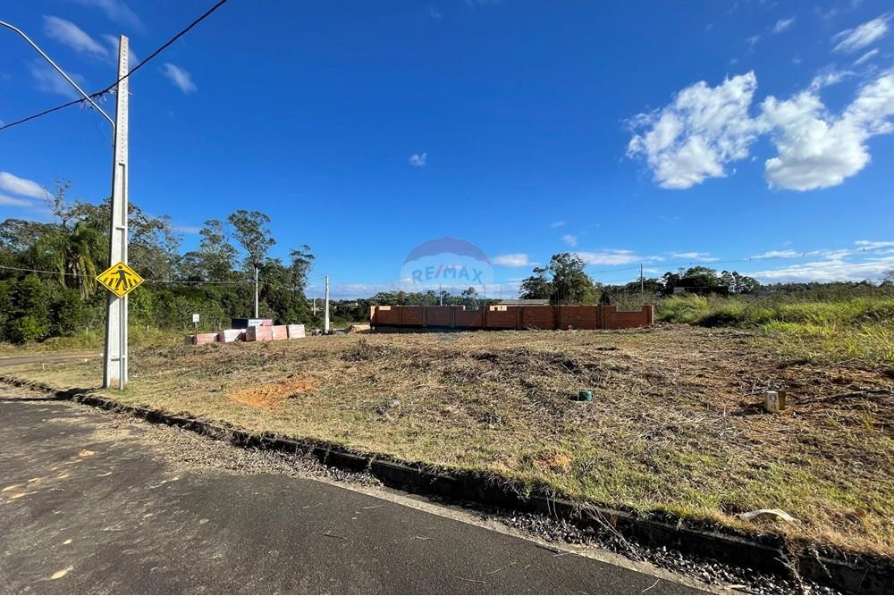 Terreno - Venda - Criciúma , Santa Catarina - IMG_6525.JPG - 590311026-27