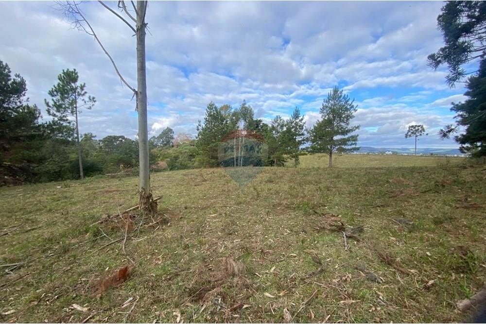 Terreno - Venda - Lages , Santa Catarina - b19700e1-188b-4875-ad9a-737268f1962b.jpg - 590071041-16
