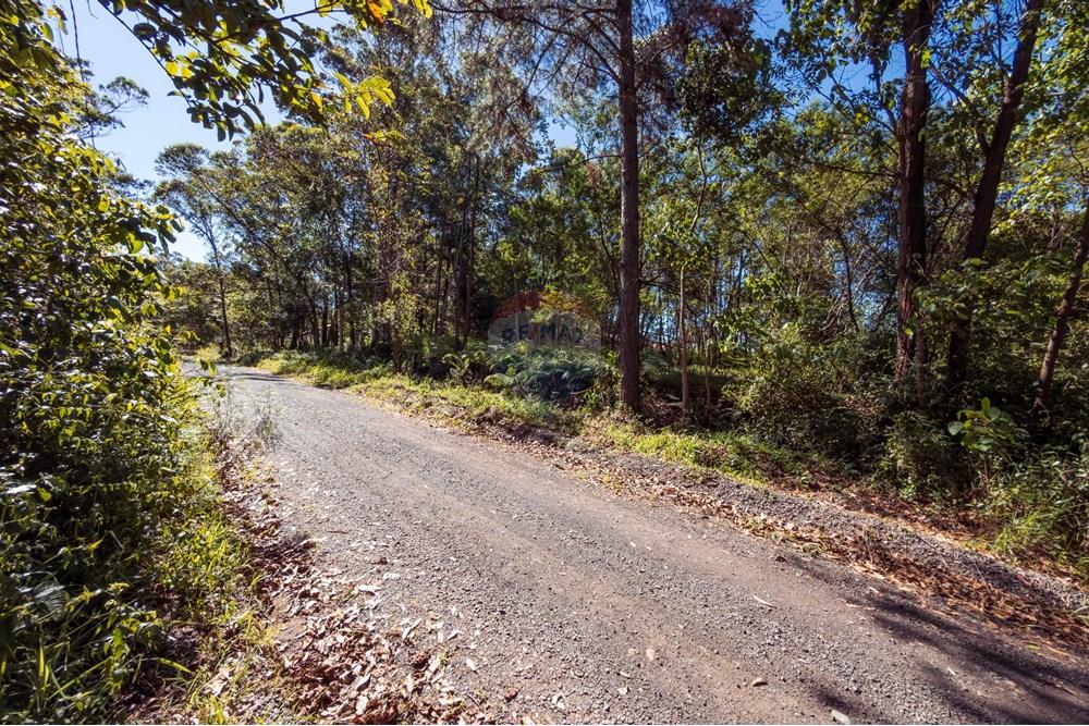 Terreno - Venda - Criciúma , Santa Catarina - IMG_6911.jpg - 590311026-44