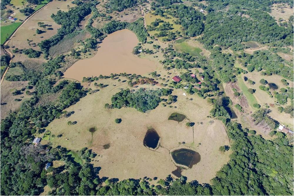 Chácara / Sítio / Fazenda - Venda - Capão Alto , Santa Catarina - DJI_0023.jpg - 590071002-440