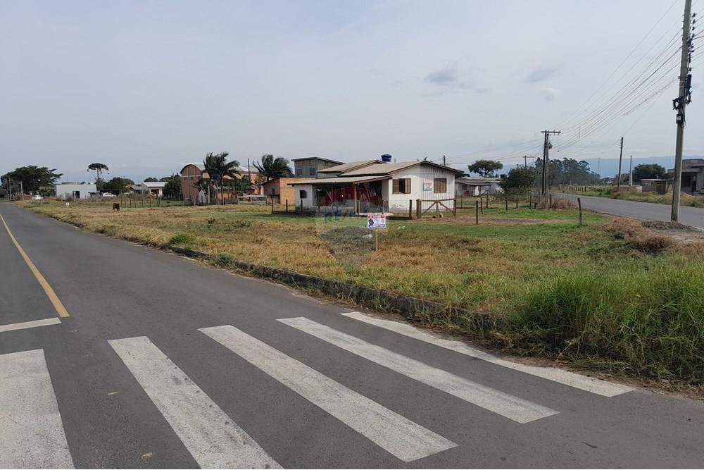 Terreno - Venda - Santa Rosa do Sul , Santa Catarina - 20250726_133655.jpg - 590491005-21