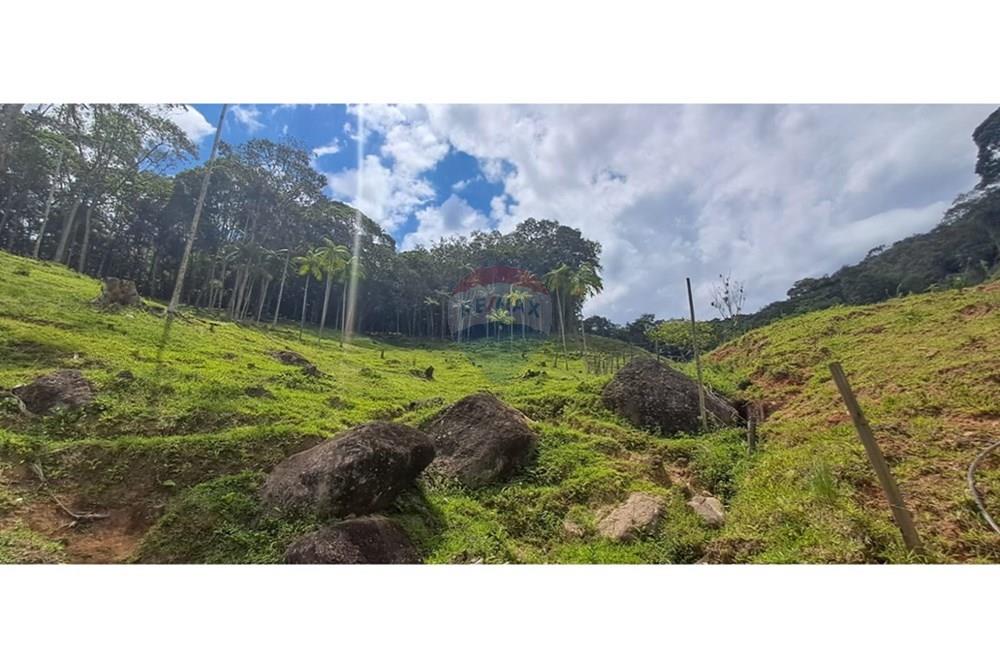 Chácara / Sítio / Fazenda - Venda - Águas Mornas , Santa Catarina - WhatsApp Image 2025-12-13 at 16.46.15 (3).jpeg - 590471023-25