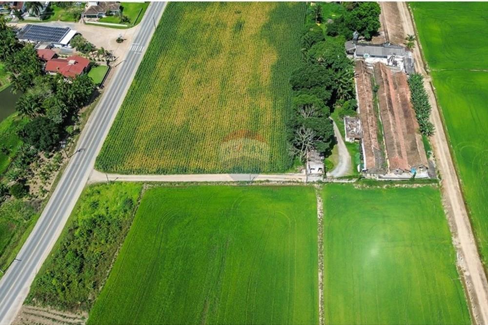 Terreno - Venda - Rio dos Cedros , Santa Catarina - PHOTO-2025-12-05-07-38-17.jpg - 590211067-17