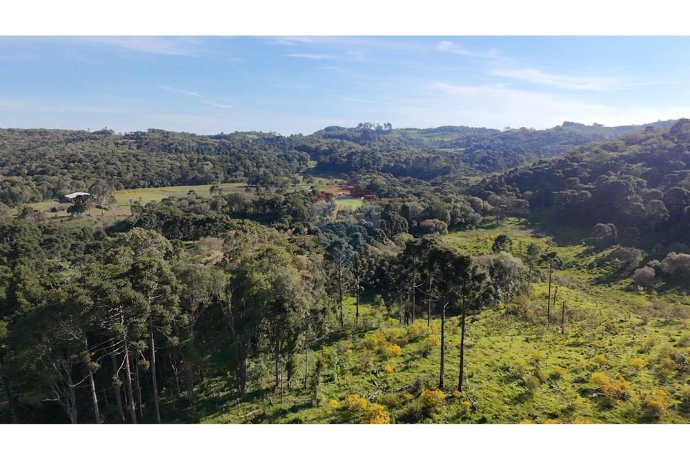 Chácara / Sítio / Fazenda - Venda - São José do Cerrito , Santa Catarina - DJI_20251111163952_0015_D.JPG - 590071044-13