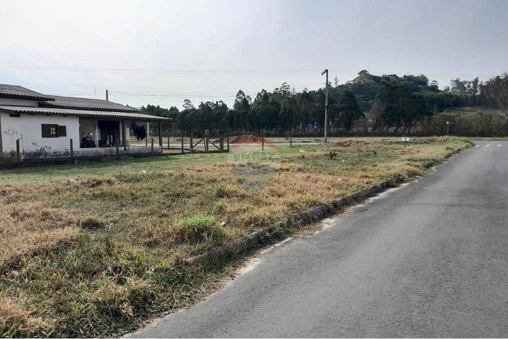 Terreno - Venda - Santa Rosa do Sul , Santa Catarina - 20250726_133436.jpg - 590491005-21