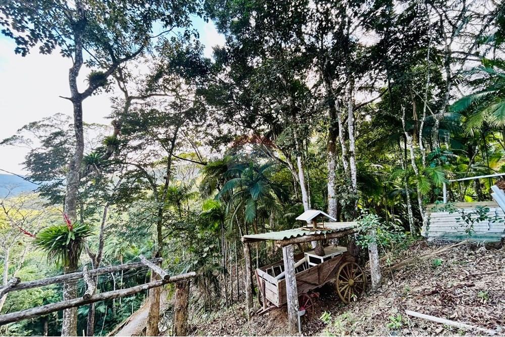 Chácara / Sítio / Fazenda - Venda - Itapema , Santa Catarina - WhatsApp Image 2025-07-14 at 16.25.50.jpeg - 590401053-3