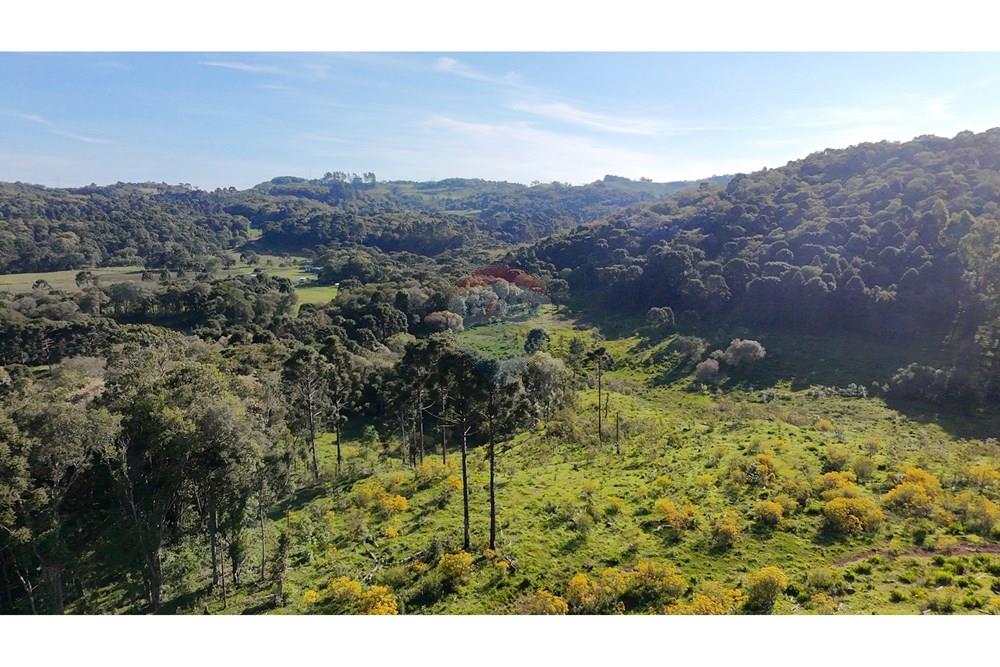 Chácara / Sítio / Fazenda - Venda - São José do Cerrito , Santa Catarina - DJI_20251111163950_0014_D.JPG - 590071044-13