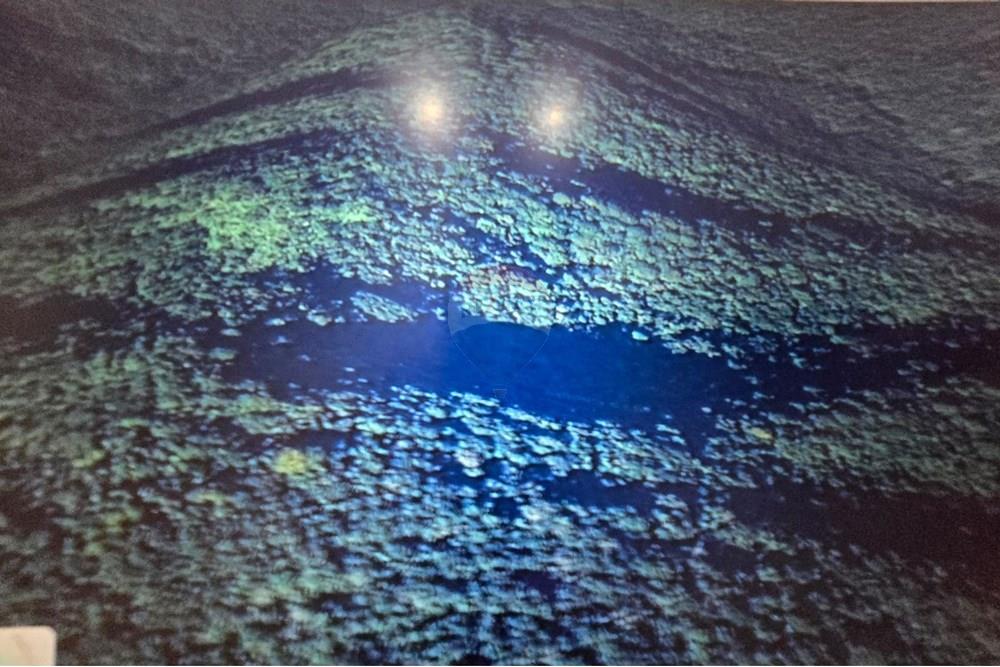 Chácara / Sítio / Fazenda - Venda - Itaiópolis , Santa Catarina - WhatsApp Image 2025-12-10 at 13.49.39.jpeg - 590211033-83