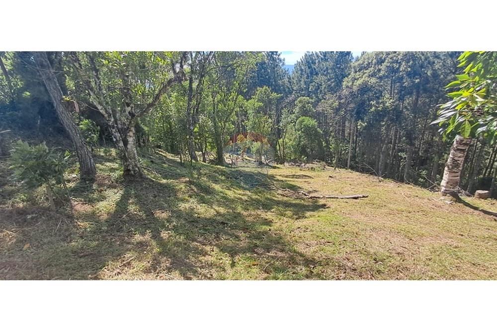 Terreno - Venda - Rancho Queimado , Santa Catarina - WhatsApp Image 2026-01-21 at 18.15.12 (2).jpeg - 590471023-34