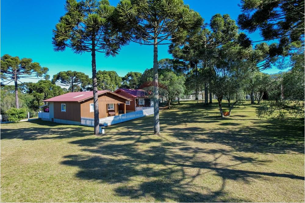 Chácara / Sítio / Fazenda - Venda - Capão Alto , Santa Catarina - DJI_0015.jpg - 590071002-440