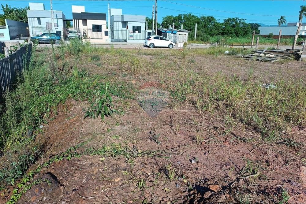 Terreno - Venda - Tijucas , Santa Catarina - WhatsApp Image 2026-02-02 at 15.30.34.jpeg - 590401052-5