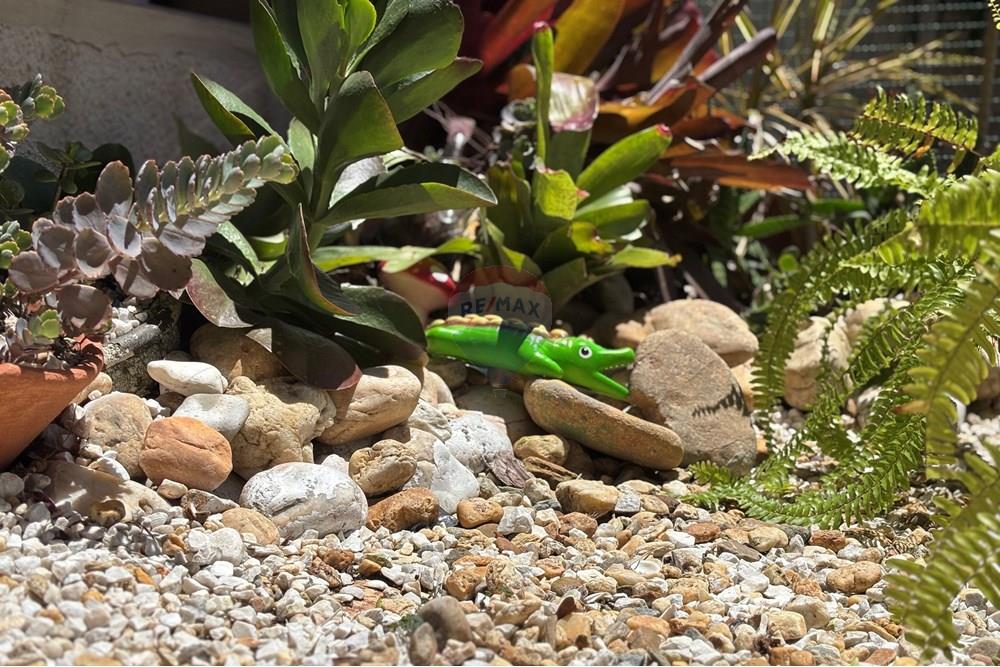 Casa - Venda - Florianópolis , Santa Catarina - IMG_8356.JPG - 590511002-52