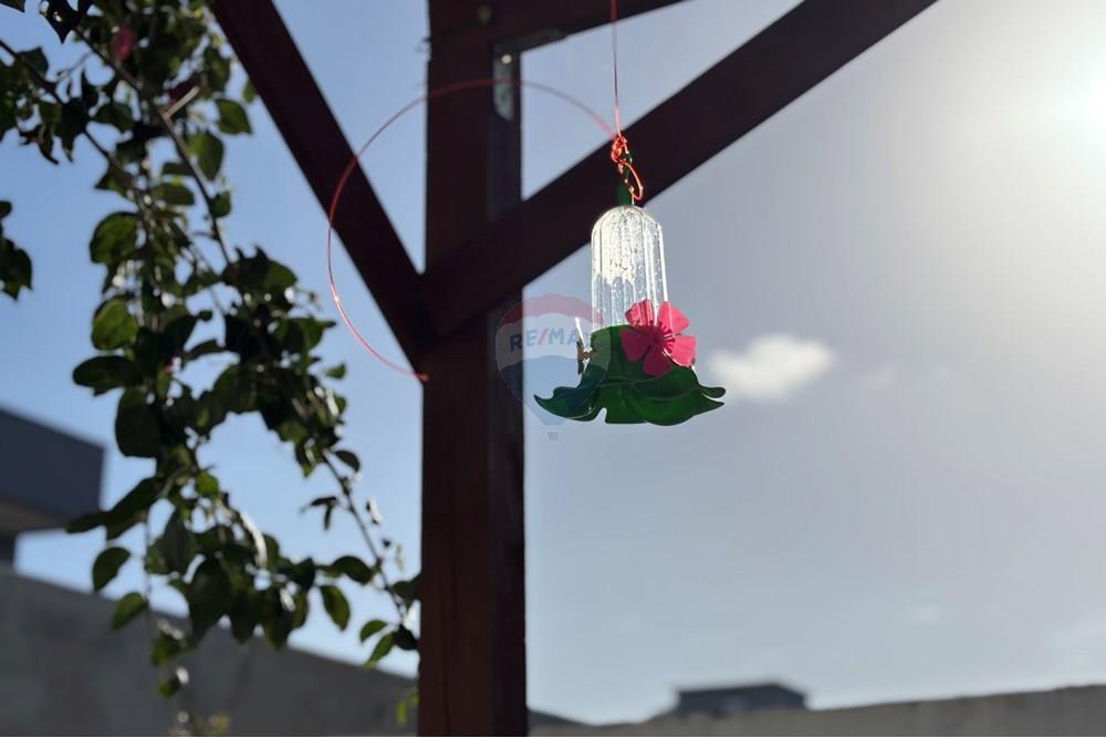 Casa - Alugar - Florianópolis , Santa Catarina - IMG_8214.JPG - 590511001-51