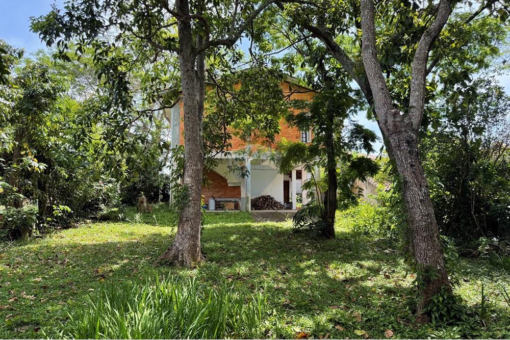 Casa - Venda - Florianópolis , Santa Catarina - IMG_0709.jpg - Jardim Externo - 590101030-22