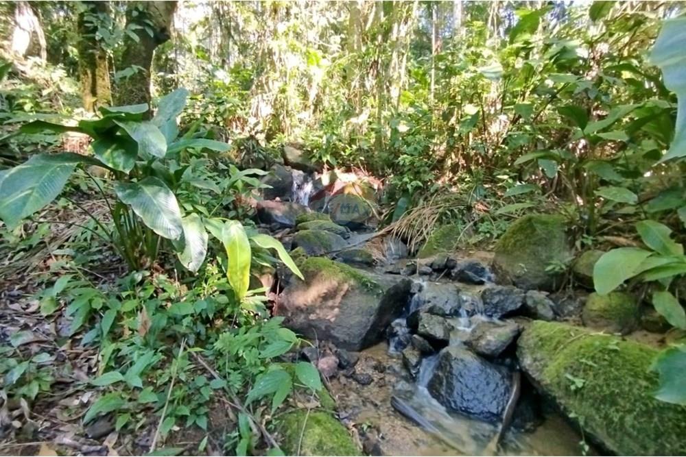 Terreno - Venda - Benedito Novo , Santa Catarina - WhatsApp Image 2025-09-09 at 17.07.57 (2).jpeg - 590301027-106