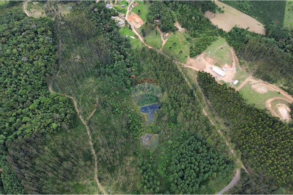 Terreno - Venda - Rio dos Cedros , Santa Catarina - IMG-20251017-WA0040.jpg - 590211067-4