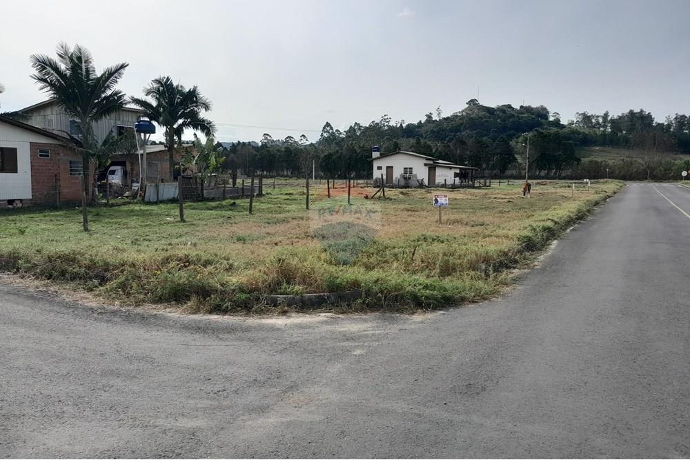 Terreno - Venda - Santa Rosa do Sul , Santa Catarina - 20250726_133202.jpg - 590491005-23