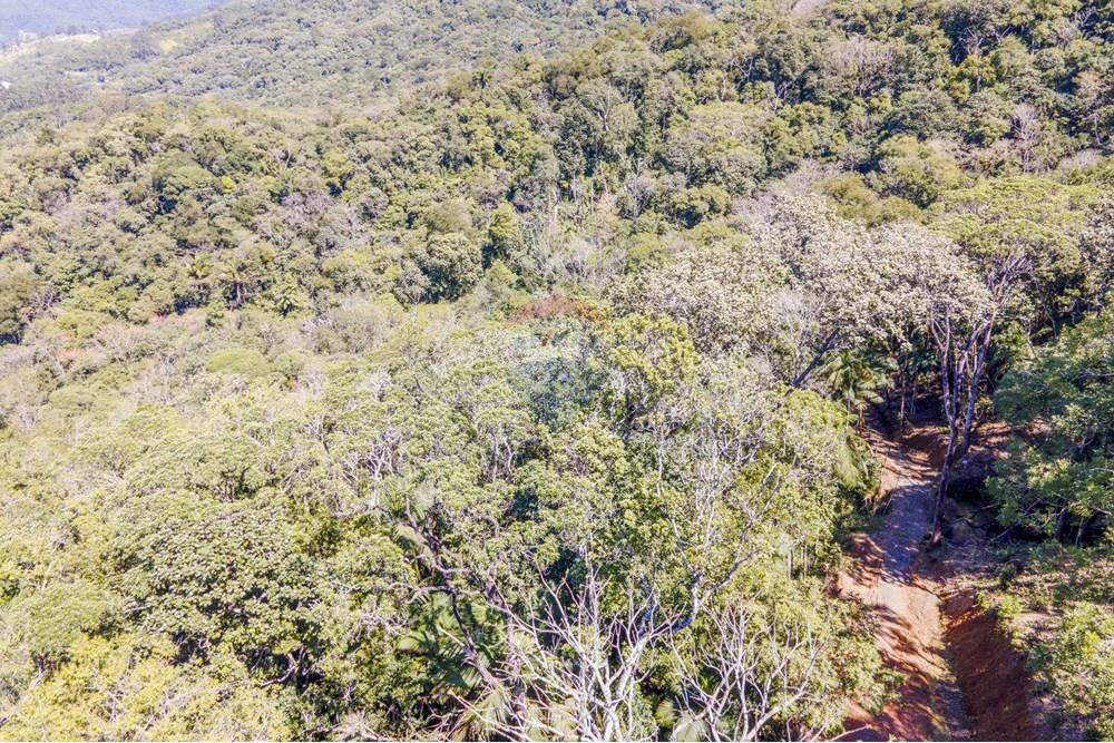 Chácara / Sítio / Fazenda - Venda - Itapema , Santa Catarina - 10 (1).jpg - 590401053-3