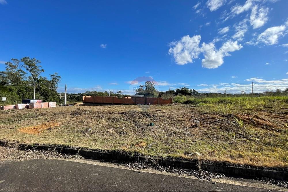 Terreno - Venda - Criciúma , Santa Catarina - IMG_6523.JPG - 590311026-27